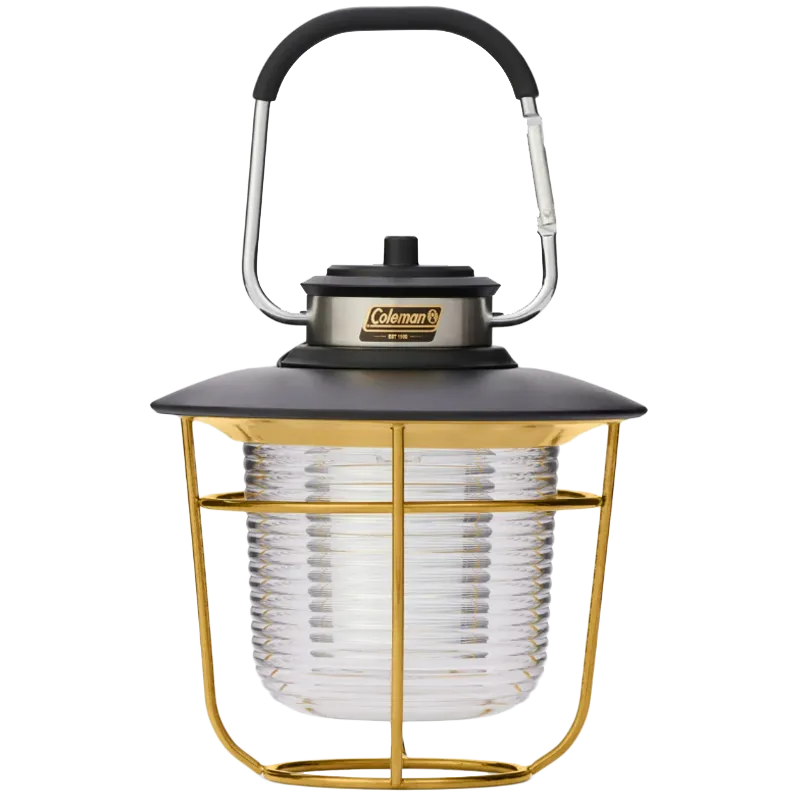 1900 Collection 200 Lumen LED Lantern