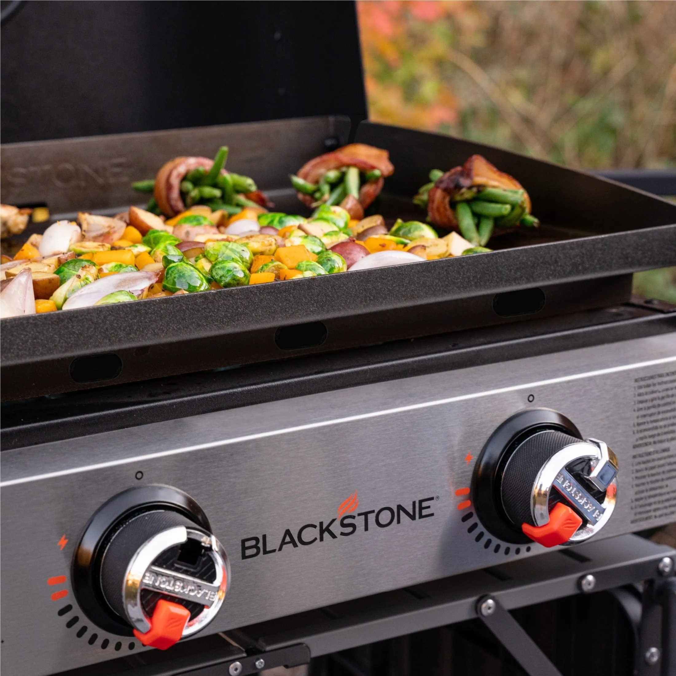 Blackstone 22'' Original Series Omnivore Table Top Griddle with Hood