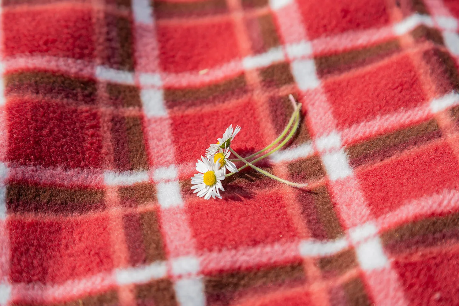 Luxury Plaid Moisture Resistant Picnic Blanket