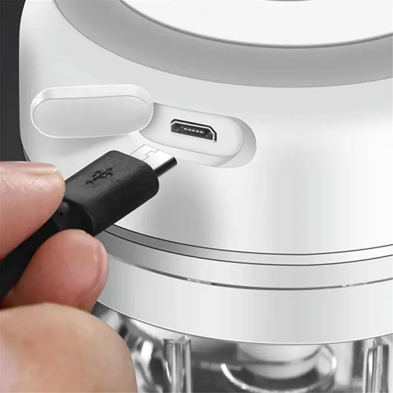 Mini Electric Food Crusher