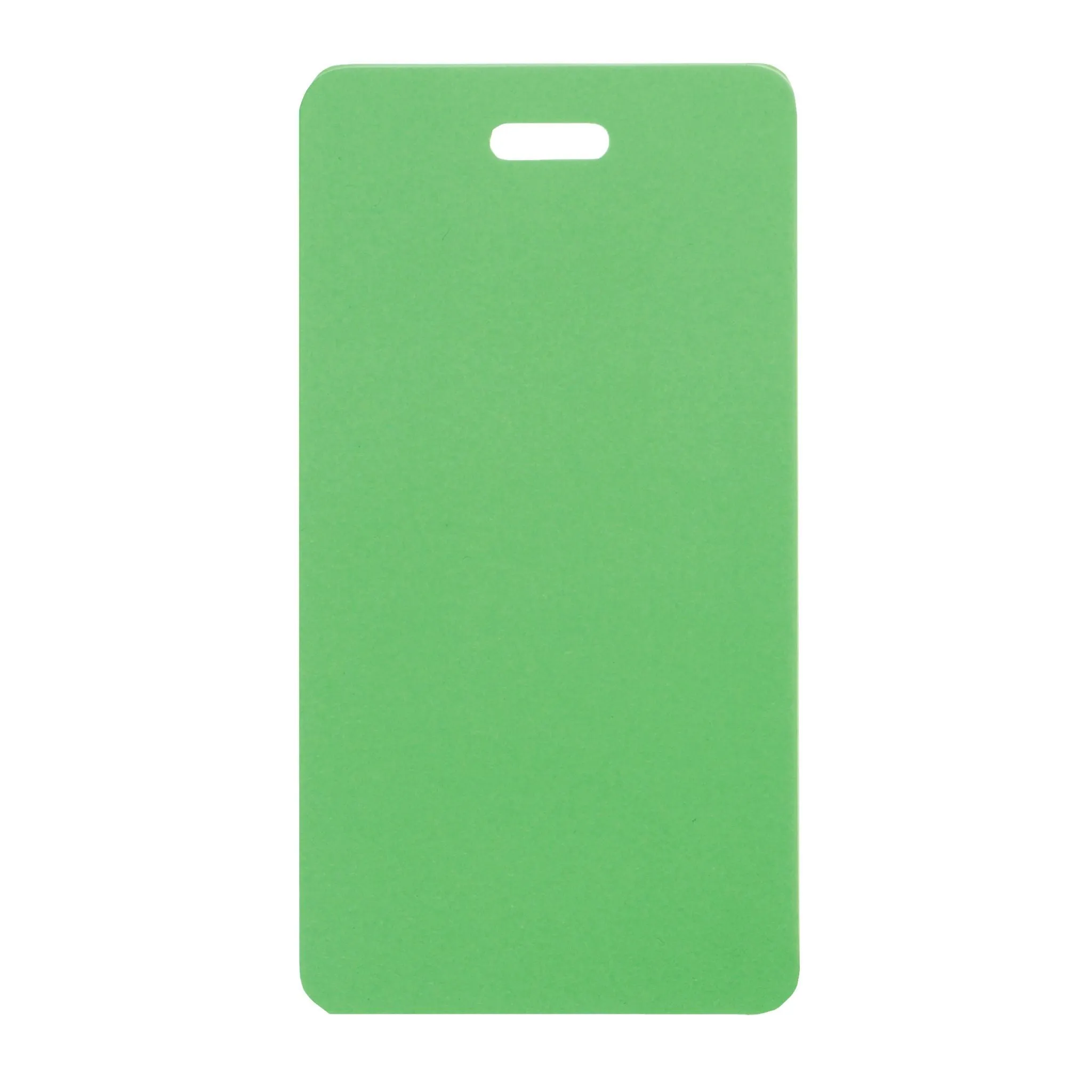 Neon Matte Luggage Tag - Green