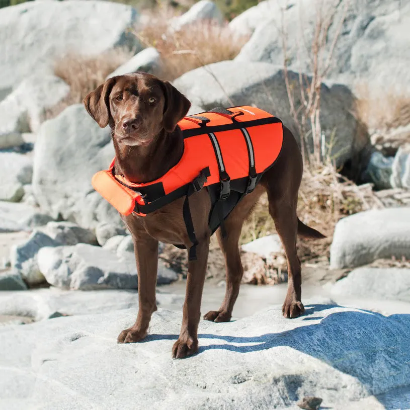 Zippypaws Adventure - Life Jacket M